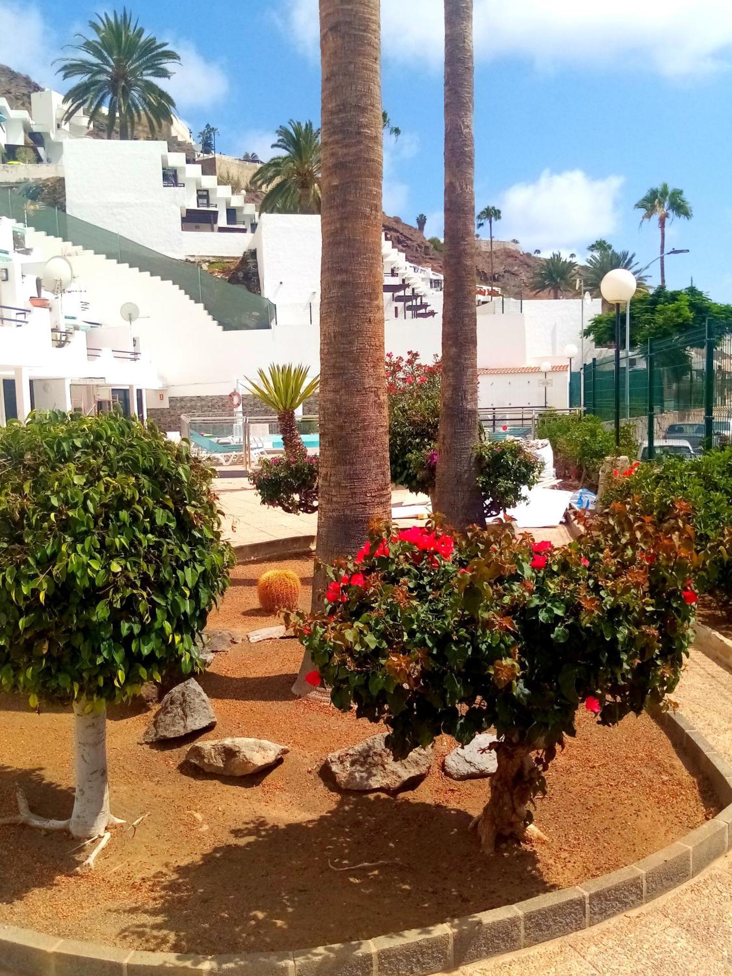 Most Sunny Days On Gran Canaria Puerto Rico  Exterior photo